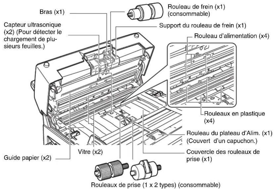 Bras (x1) Capteur ultrasonique (x2) (Pour détecter le chargement de plusieurs feuilles.) Guide papier (x2) Vitre (x2) Rouleaux de prise (1 x 2 types) (consommable) Rouleau du plateau d'Alim. (x1) (Couvert d'un capuchon.) Couvercle des rouleaux de prise (x1) Rouleaux en plastique (x4) Rouleau d'alimentation (x4) Support du rouleau de frein (x1) Rouleau de frein (x1) (consommable)