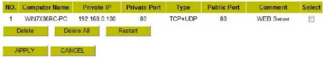 CONCEPTRONIC 150N WL - - Current Virtual Server Table - 1