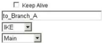 Keep Alive to_Branch_A IKE Main
