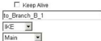 Keep Alive to_Branch_B_1 IKE Main