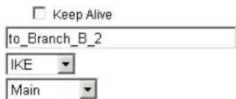 Keep Alive to_Branch_B_2 IKE Main