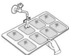 ARGO Oscar - Transporte - 8