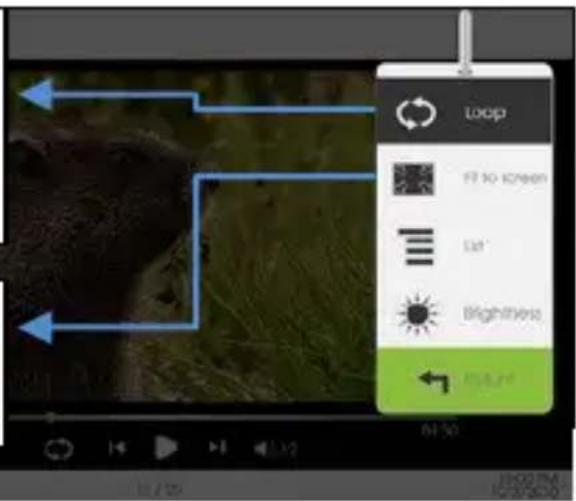 Approx APPEB02E - Using Opon Menu during Video Playback - 1