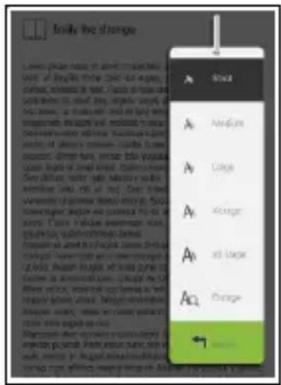 Approx APPEB02E - Adjusng Font Size - 1