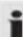AEG SRC 4333 IP - MUTE (5) - 1