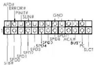 ASROCK H81M - Integrierte Stiftleisten und Anschlüsse - 12