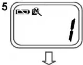 5 ↓
