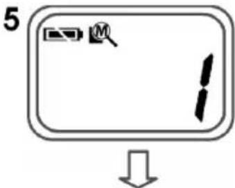 5 ↓