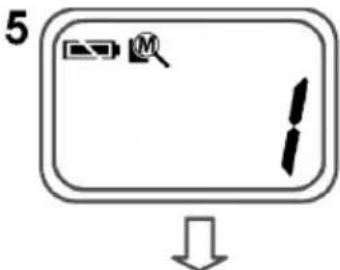 5 ↓