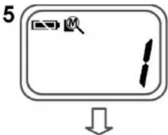 5 ↓