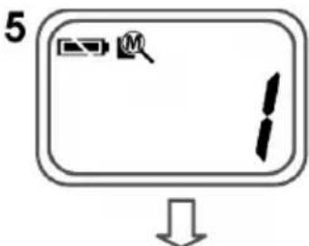 5 ↓