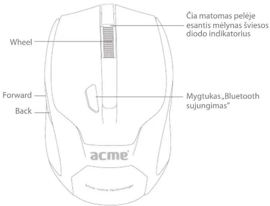 Acme Made MB01 - Peles fungcijos - 1