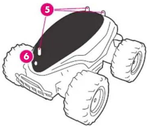 BEEWI Scara Bee - 1.2.包装内含物 - 2