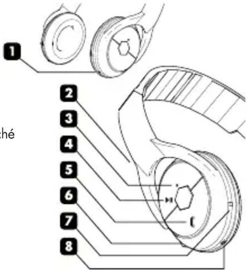 BEEWI BBH100 - INTRODUCTION - 1