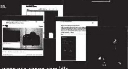 CANON EF 300mm f4L IS USM - Expand Your Photographic Knowledge - 2