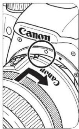 CANON EF 300mm f4L IS USM - MODE2: - 3