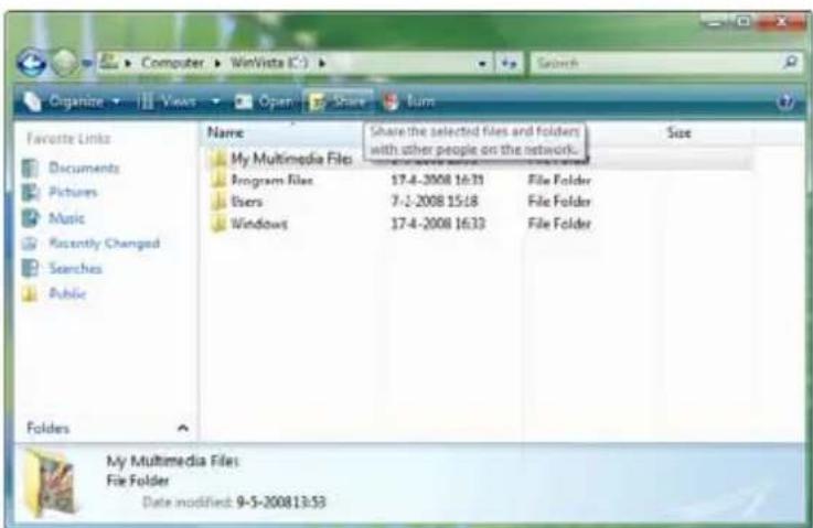 CONCEPTRONIC Media Giant - File sharing in Windows Vista - 1