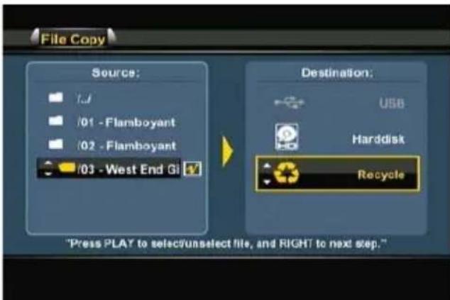 CONCEPTRONIC Media Giant - PORTUGUES - 3