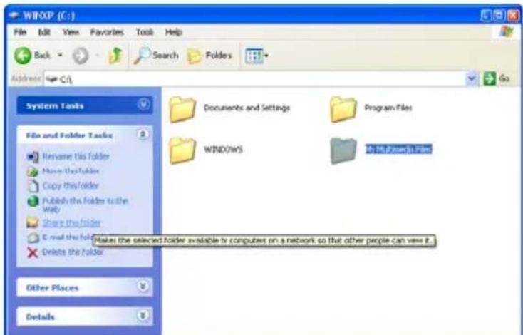 CONCEPTRONIC Media Giant - Windows XP'deosya paylasimi - 1