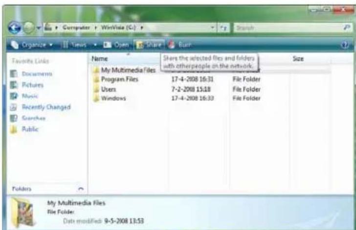 CONCEPTRONIC Media Giant - Partilha de ficheiros no Windows Vista - 1