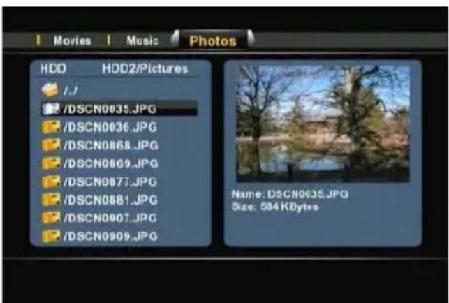 CONCEPTRONIC Media Giant - Reproducción deotos e imágenes - 1