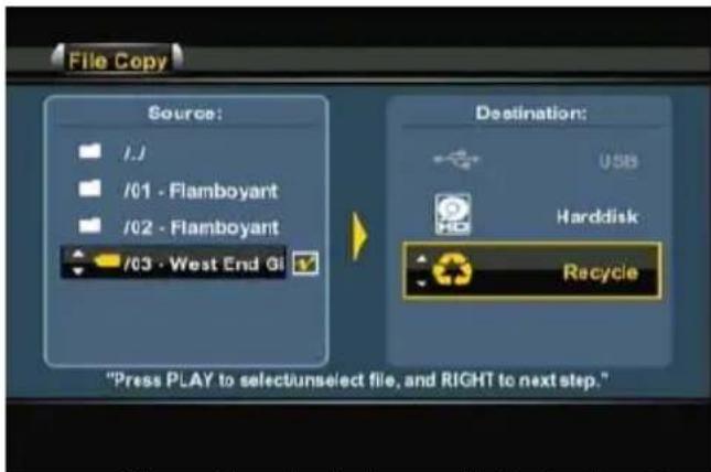 CONCEPTRONIC Media Giant met DVBT - ITALIANO - 3