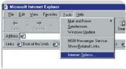 PHILIPS SNK5620 - Internet Explorer - 1
