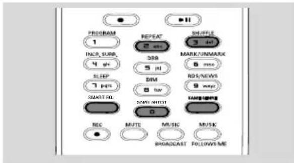 PROGRAM 1 INCR, SURP. 4 g/s SLEEP 7 pPS SMART RL REC MUTE MUSIC SMRFELE 2 sec 3RR 5 mI DIM 8 HV SAME ARTIST 0 MARK/UNMARK 6 sec RDS/NEWS 9 meg/s SAMG UANG MUSK BROADCAST FOLLOWS ME