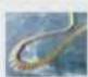 PHILIPS MCL701 - 预览 (JPEG) - 8