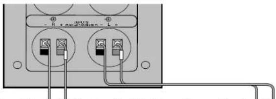 BOSE 3 Acoustimass - Acoustimass®モジローをレシーパーやアングに接続する - 1