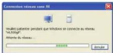 ASUS RTN11 - Configurer une carte réseau sans fil avec Windows® WZC - 2