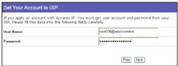 ASUS RTN11 - Statisch IP-adres - 1