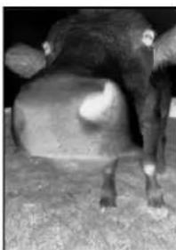 XEROX Documate 752 - Pour créer une configuration : - 6