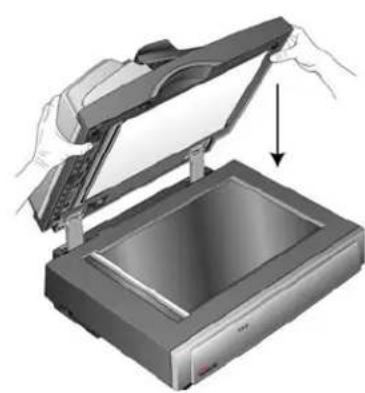 XEROX Documate 752 - Pour assembler le scanner : - 2