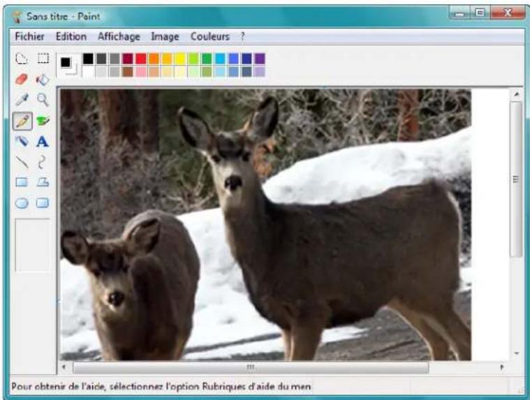 XEROX Documate 752 - Pour numériser en utilisant WIA à partir de microsoft paint : - 3