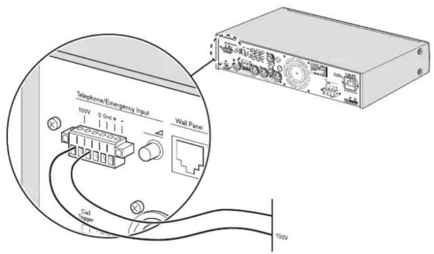 BOSCH PLE1MA060EU - Connexion d'un signal d'entrée 100 volts - 1