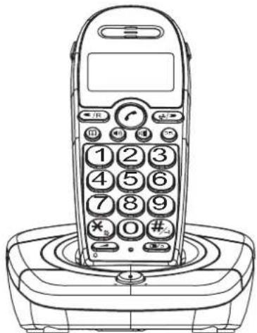 BRONDI Bravo Cordless 2 - EQUIPMENT AND DEVICES: - 1