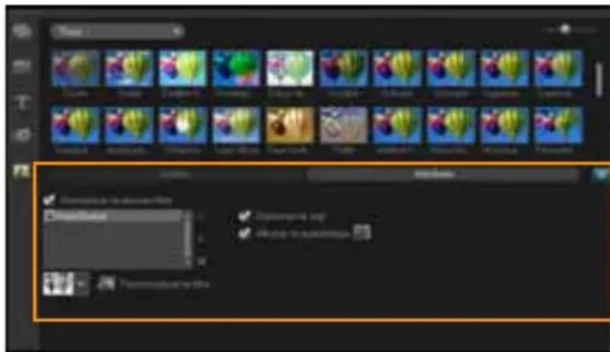COREL VideoStudio Pro X4 License Media Pack - Le panneau Options de l'etape Editor - 1