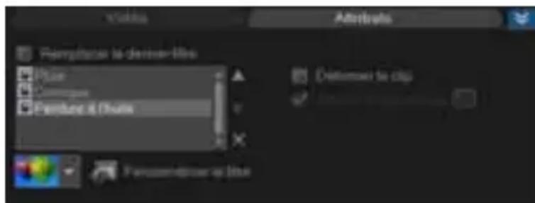 COREL VideoStudio Pro X4 License Media Pack - Filtres - 1