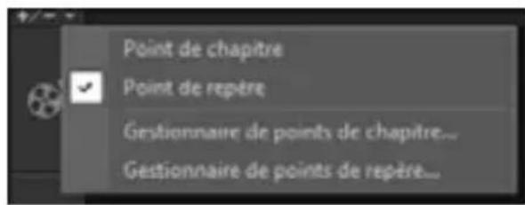 COREL VideoStudio Pro X4 License Media Pack - Ajouter des points de repère et de chapitre - 1