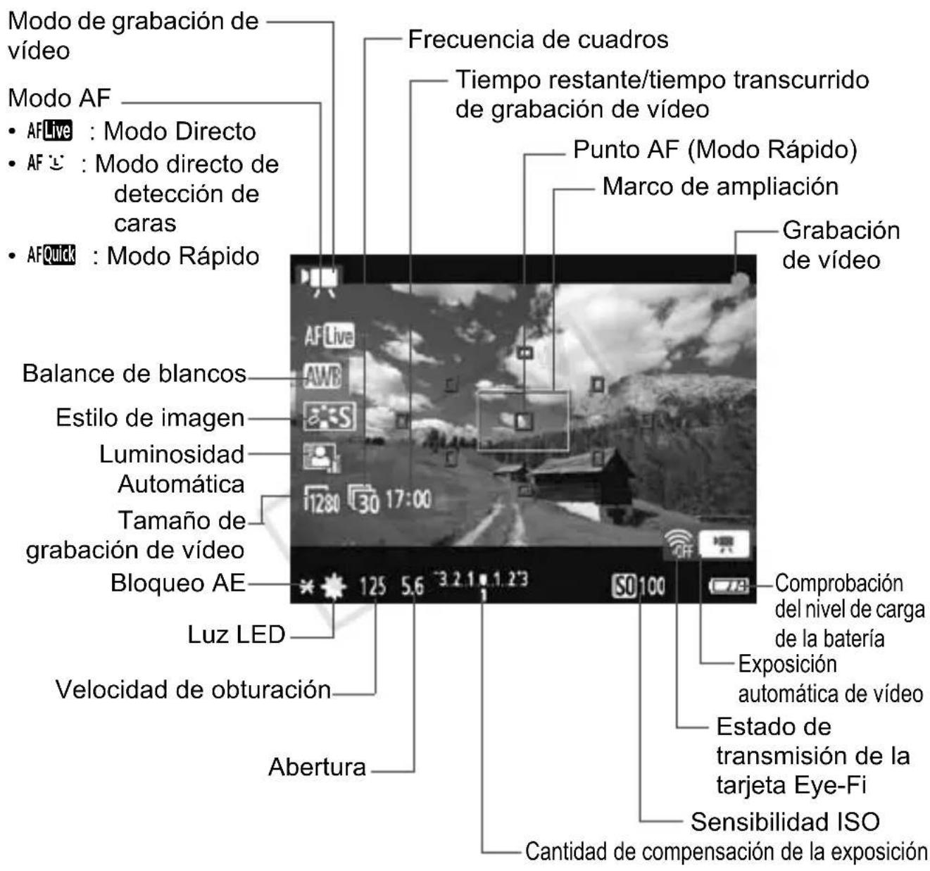 CANON EOS Rebel T3 - Acerca de la visualización de información - 1