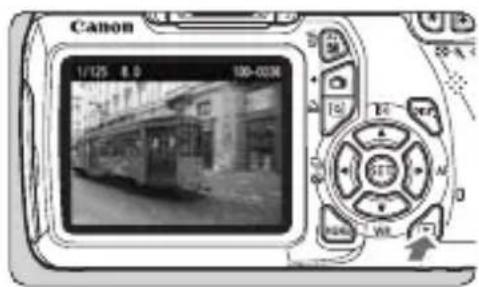 CANON EOS Rebel T3 - Playing Movies - 1