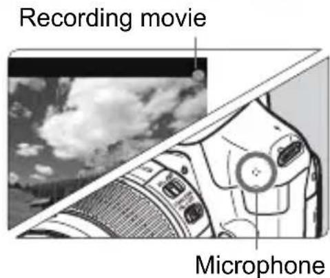 CANON EOS Rebel T3 - Shoot the movie. - 1