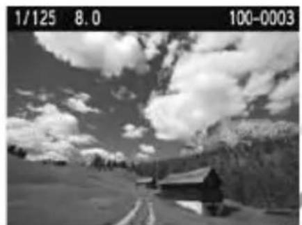 CANON EOS Rebel T3 - Select an image. - 2