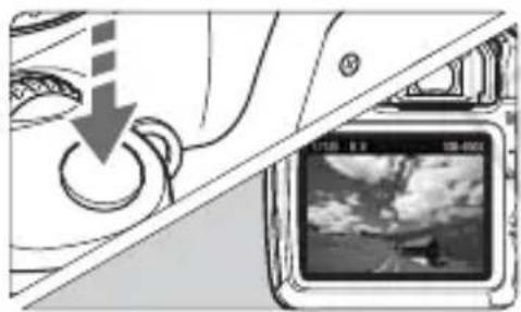 CANON EOS Rebel T3 - Effectuez la mise au point. - 1