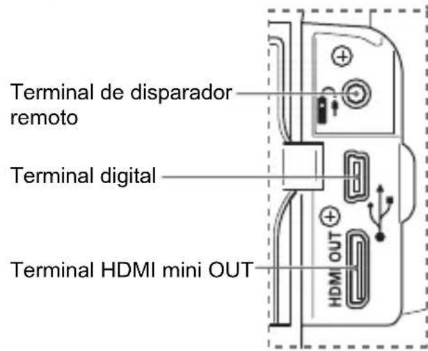 CANON EOS Rebel T3 - Nomenclatura - 3