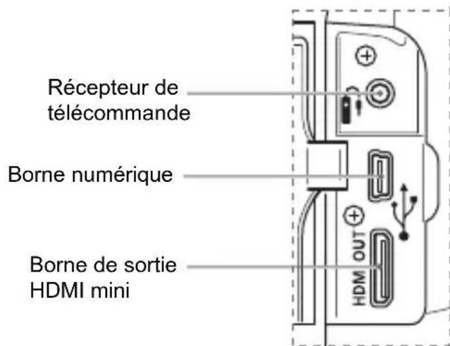 CANON EOS Rebel T3 - Nomenclature - 3