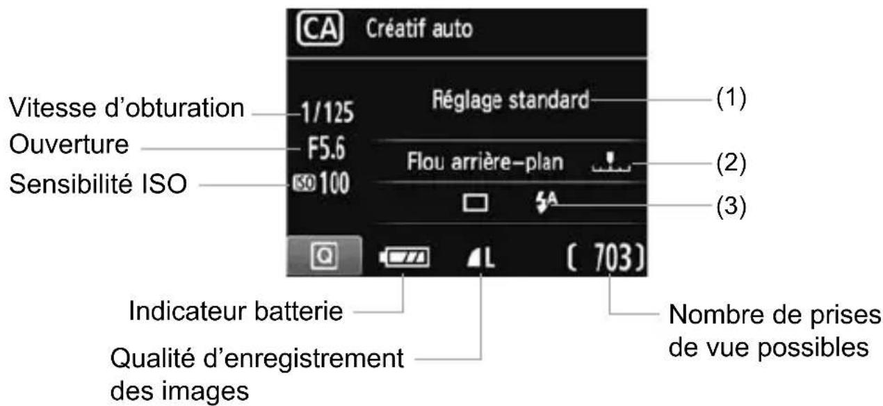 CANON EOS Rebel T3 - CA Prise de vue en mode Créatif auto - 5