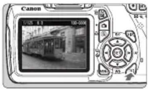 CANON EOS Rebel T3 - Image Playback - 1