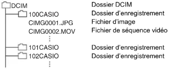 CASIO Exilim EXTR100 - ■ Structure des dossiers de la mémoire - 1